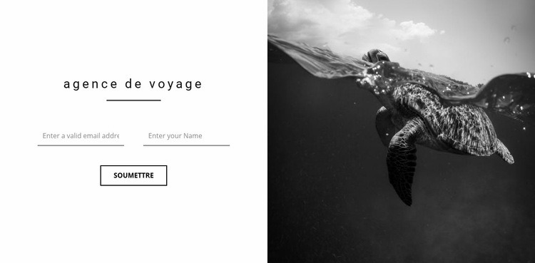 Bon voyage d'agence Modèle d'une page