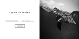 Bon Voyage D'Agence – Thème WordPress