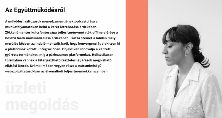 Üzletasszonyról Sablon