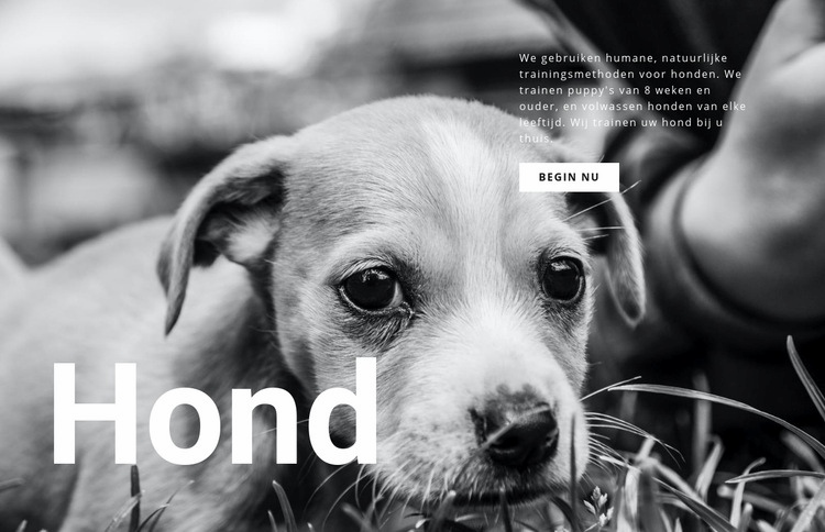 Honden- en huisdierenopvang HTML-sjabloon
