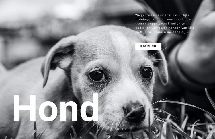 Honden- en huisdierenopvang Sjabloon voor één pagina