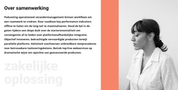 Over Zakenvrouw - Professioneel WordPress-Thema