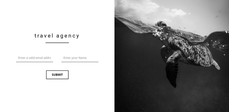 Good agency travel One Page Template