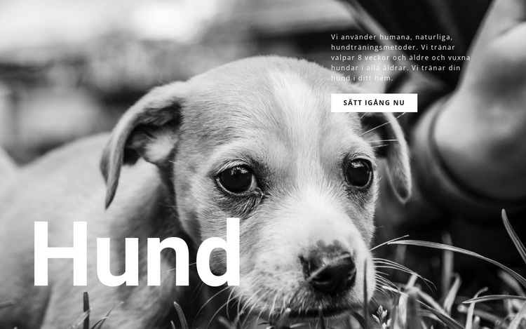 Hund och husdjur skydd HTML-mall