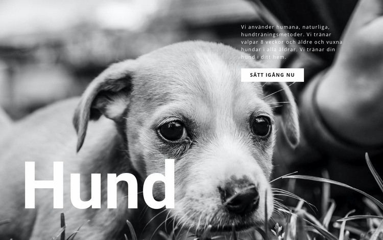Hund och husdjur skydd Webbplats mall