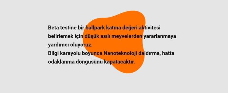 Şekildeki metin Web sitesi tasarımı