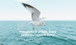 Nejlepší Fotograf Přírody – Šablona Stránky HTML