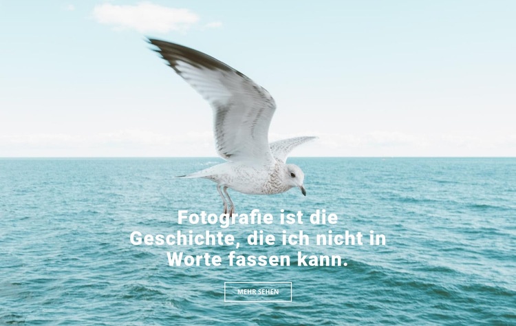 Top Naturfotograf Eine Seitenvorlage