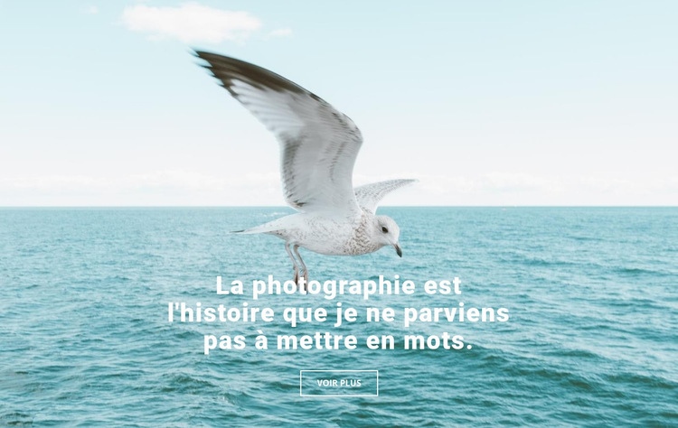 Meilleur photographe de la nature Conception de site Web