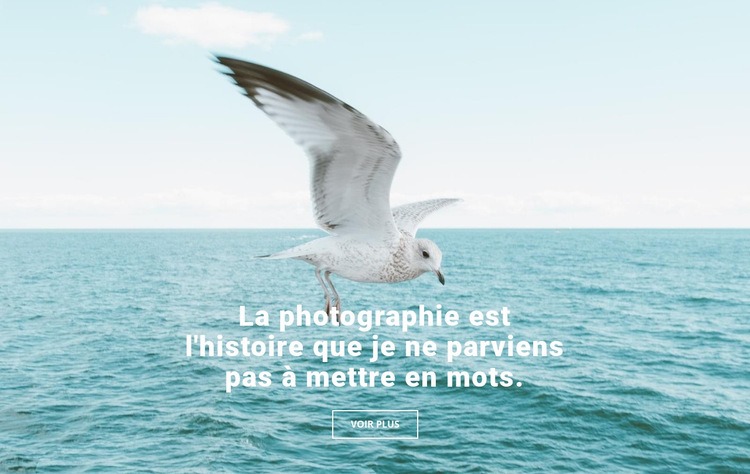 Meilleur photographe de la nature Modèles de constructeur de sites Web