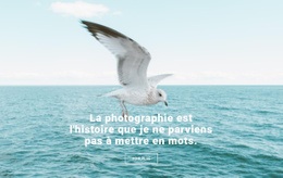 Meilleur Photographe De La Nature - HTML Generator Online