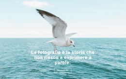 Generatore Di Siti Web Esclusivo Per Miglior Fotografo Naturalista