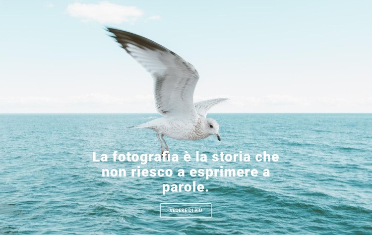 Miglior fotografo naturalista Modelli di Website Builder