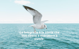 Miglior Fotografo Naturalista - Modello Di Sito Web Joomla Gratuito