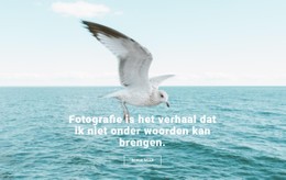 Top Natuurfotograaf CSS-Lay-Outsjabloon