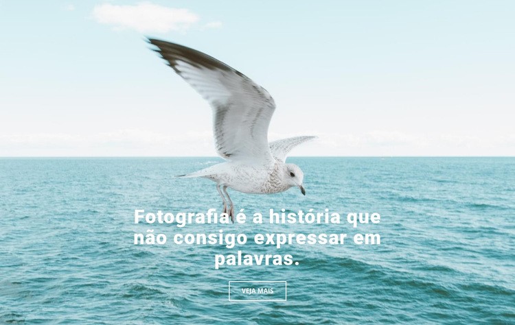 Top fotógrafo de natureza Design do site