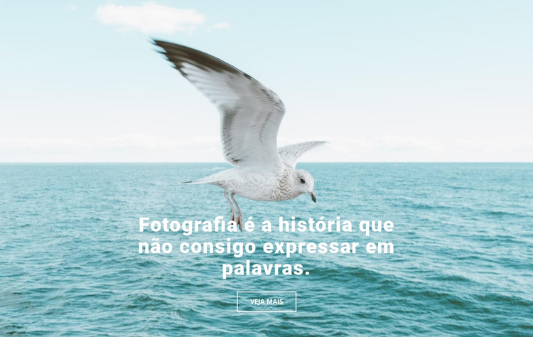 Top fotógrafo de natureza Modelo de site