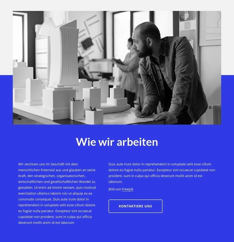 Unternehmens- und Technologieberatung Website-Modell