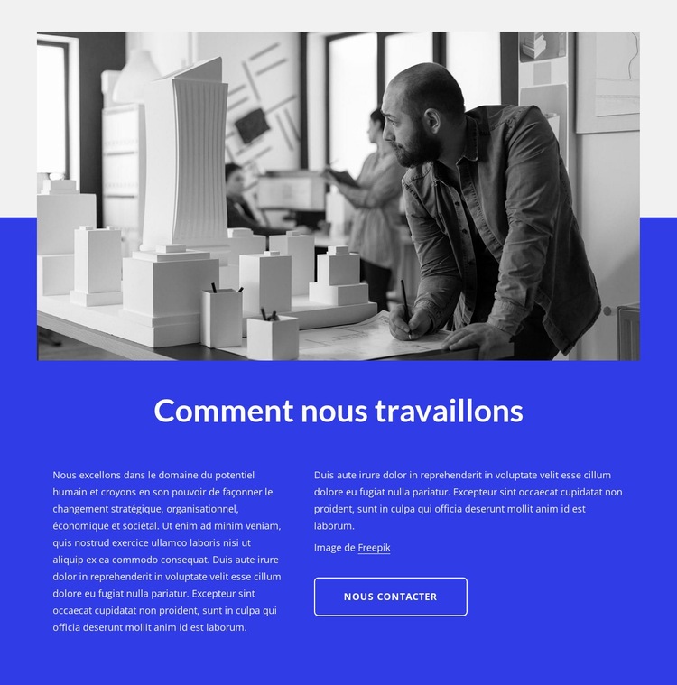 Conseil en affaires et technologie Conception de site Web