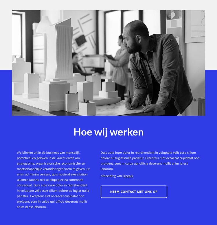 Zakelijk en technologisch advies Sjabloon