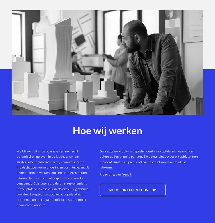 Zakelijk en technologisch advies Website Builder-sjablonen