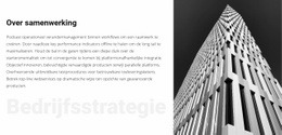 Een Exclusief Websiteontwerp Voor Win-Win Bedrijfsstrategie