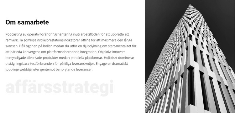 Win-win affärsstrategi WordPress -tema