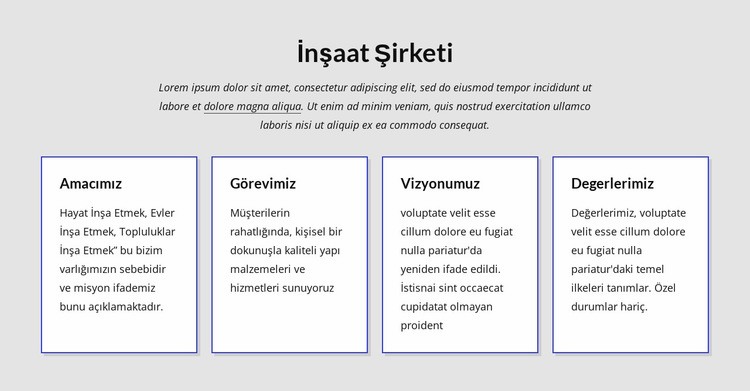 Başarılı projeler üretiyoruz Web Sitesi Mockup'ı