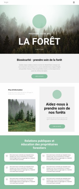 Prendre Soin Des Parcs Et Des Forêts Html Modèle De Site Web