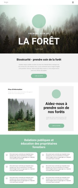 Mise En Page CSS Gratuite Pour Prendre Soin Des Parcs Et Des Forêts