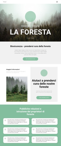 Prendersi Cura Di Parchi E Foreste Portfolio Personale