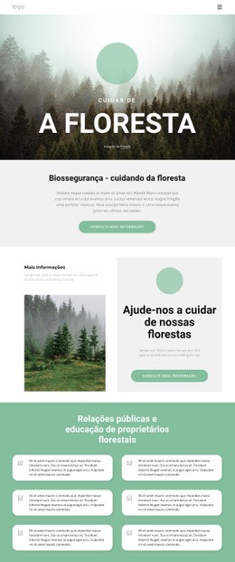 Cuidando De Parques E Florestas - Modelo De Uma Página
