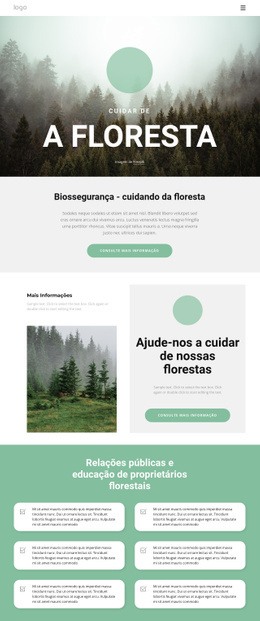 Cuidando De Parques E Florestas Painel Preto