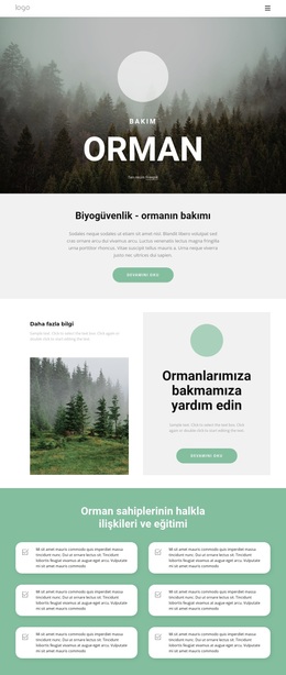 Park Ve Ormanların Bakımı - Özel WordPress Teması