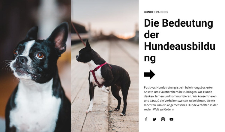 Wichtige Hundeausbildung HTML-Vorlage