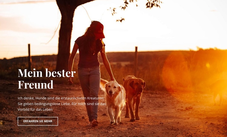 Unsere besten Freunde Website Builder-Vorlagen