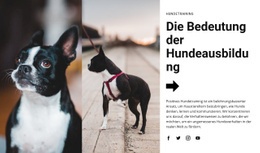 Das Beste Website-Design Für Wichtige Hundeausbildung