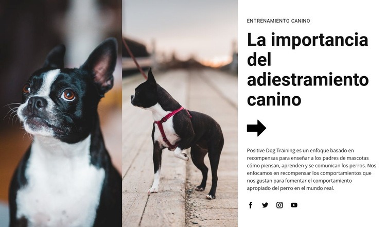 Entrenamiento canino importante Creador de sitios web HTML