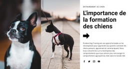 La Meilleure Conception De Site Web Pour Formation Canine Importante