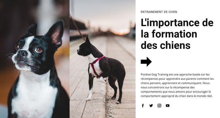Formation canine importante Thème WordPress