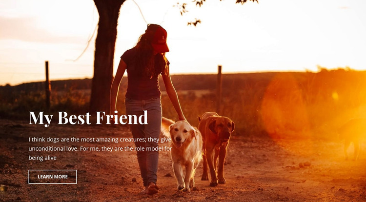 Our best friends Homepage Design