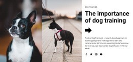 Most Creative Html Code For Important Dog Training