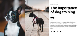Important dog training - HTML Template by Nicepage