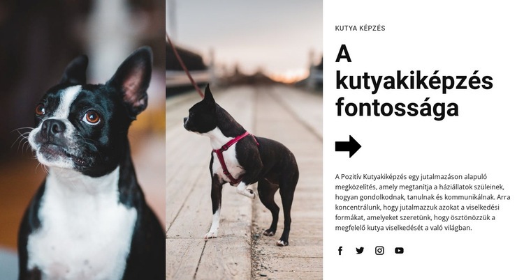 Fontos kutyakiképzés Weboldal sablon