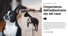 Importante Addestramento Del Cane