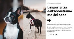 Il Miglior Design Del Sito Web Per Importante Addestramento Del Cane