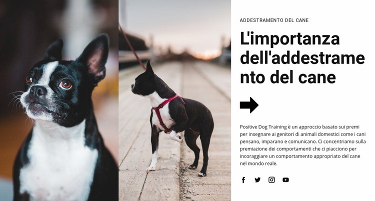 Importante addestramento del cane Mockup del sito web