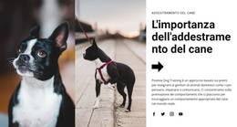 Importante Addestramento Del Cane - Tema WordPress Definitivo