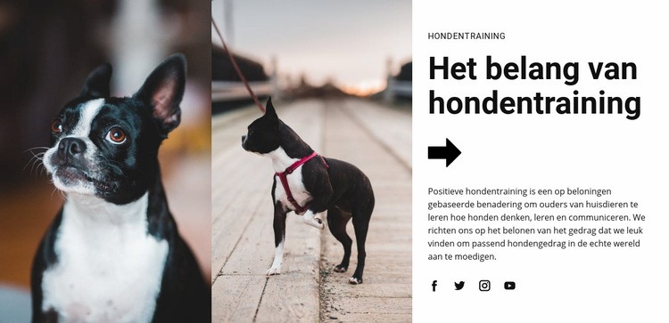 Belangrijke hondentraining Sjabloon voor één pagina