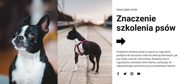 Ważne szkolenie psów Makieta strony internetowej